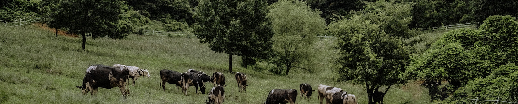 서브배너 이미지